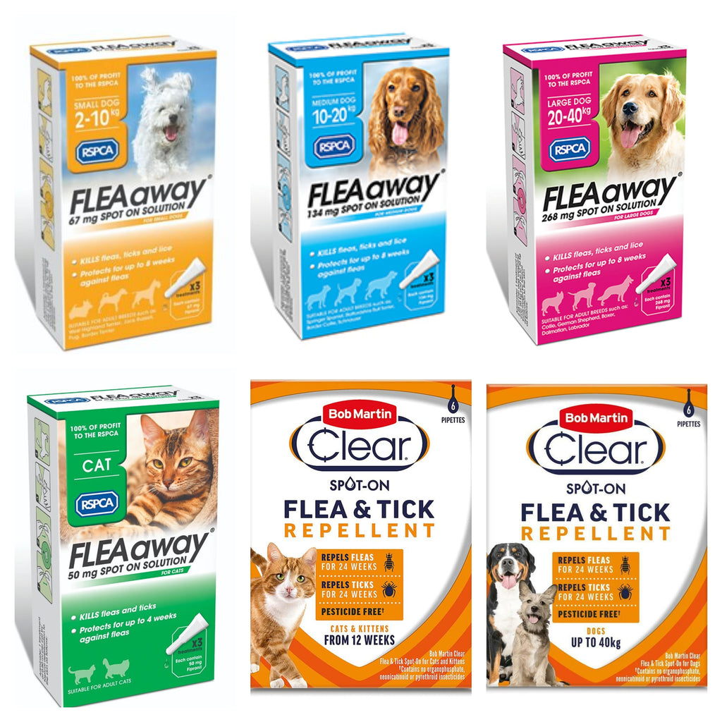 It's Flea Season, how best to protect your pet?