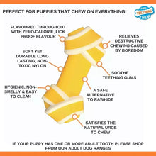 Nylabone Puppy Dog Teething Rawhide Alternative Knot Chew Toy Beef Flavour XS