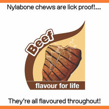 Nylabone Puppy Dog Teething Rawhide Alternative Knot Chew Toy Beef Flavour XS