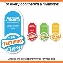 Nylabone Puppy Dog Teething Rawhide Alternative Knot Chew Toy Beef Flavour XS
