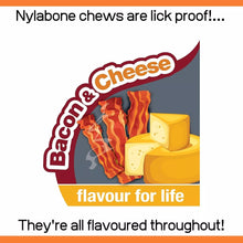Nylabone Extreme Tough Dog Chew Toy Rawhide Knot Alternative Bacon & Cheese Med