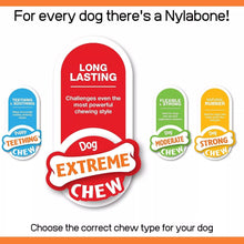 Nylabone Extreme Tough Dog Chew Toy Rawhide Knot Alternative Bacon & Cheese Med