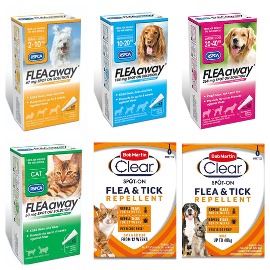 It's Flea Season, how best to protect your pet?