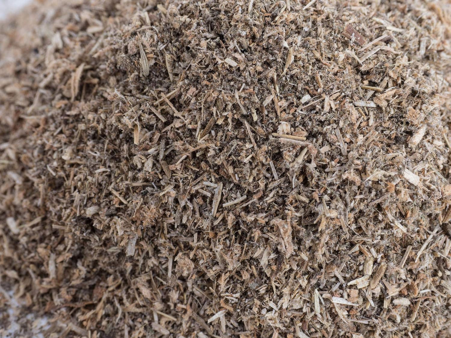 Petface Crazy Catnip, Natural Wild Catnip for Cats, 15 g