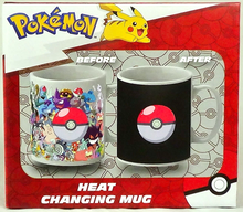Pokemon Heat Changing Mug