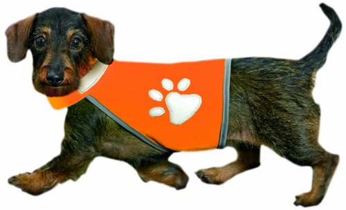 Karlie Safety Dog Vest, 30-40 cm Neck/ 36-46 cm Belly, Orange
