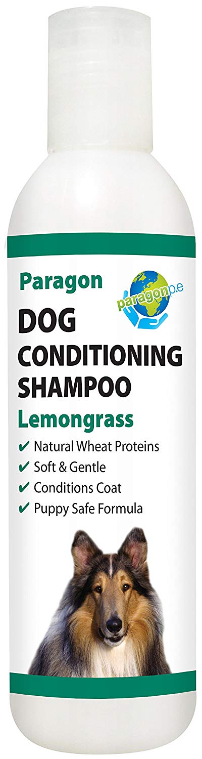 Paragon Dog Conditioning Shampoo 250ml