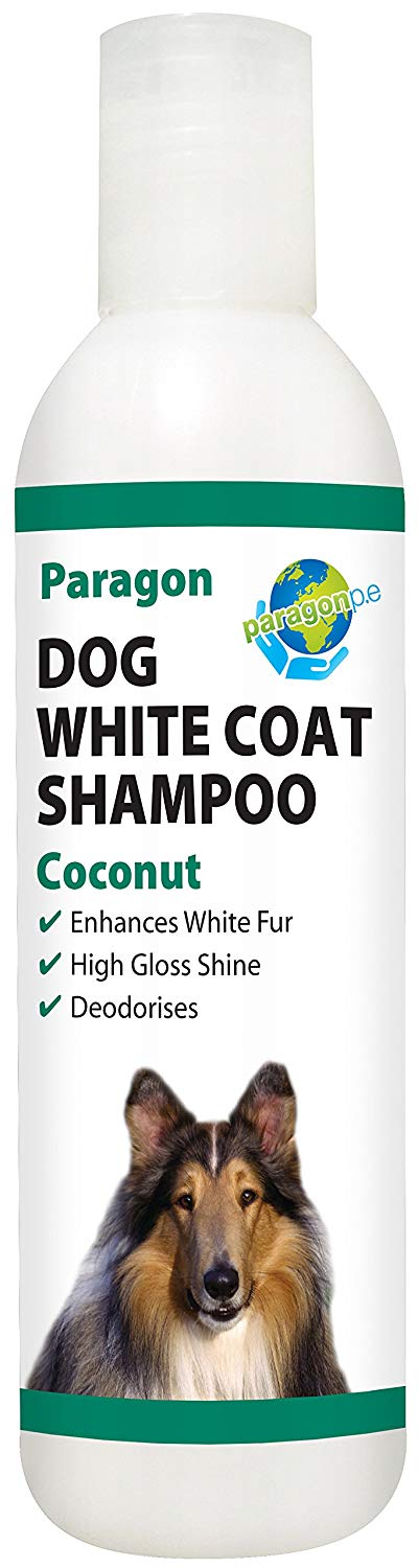Paragon Dog White Coat Shampoo 250ml